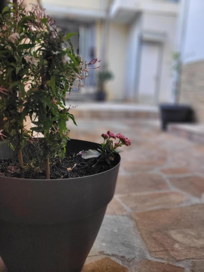 Marge Apt Arta Exterior photo